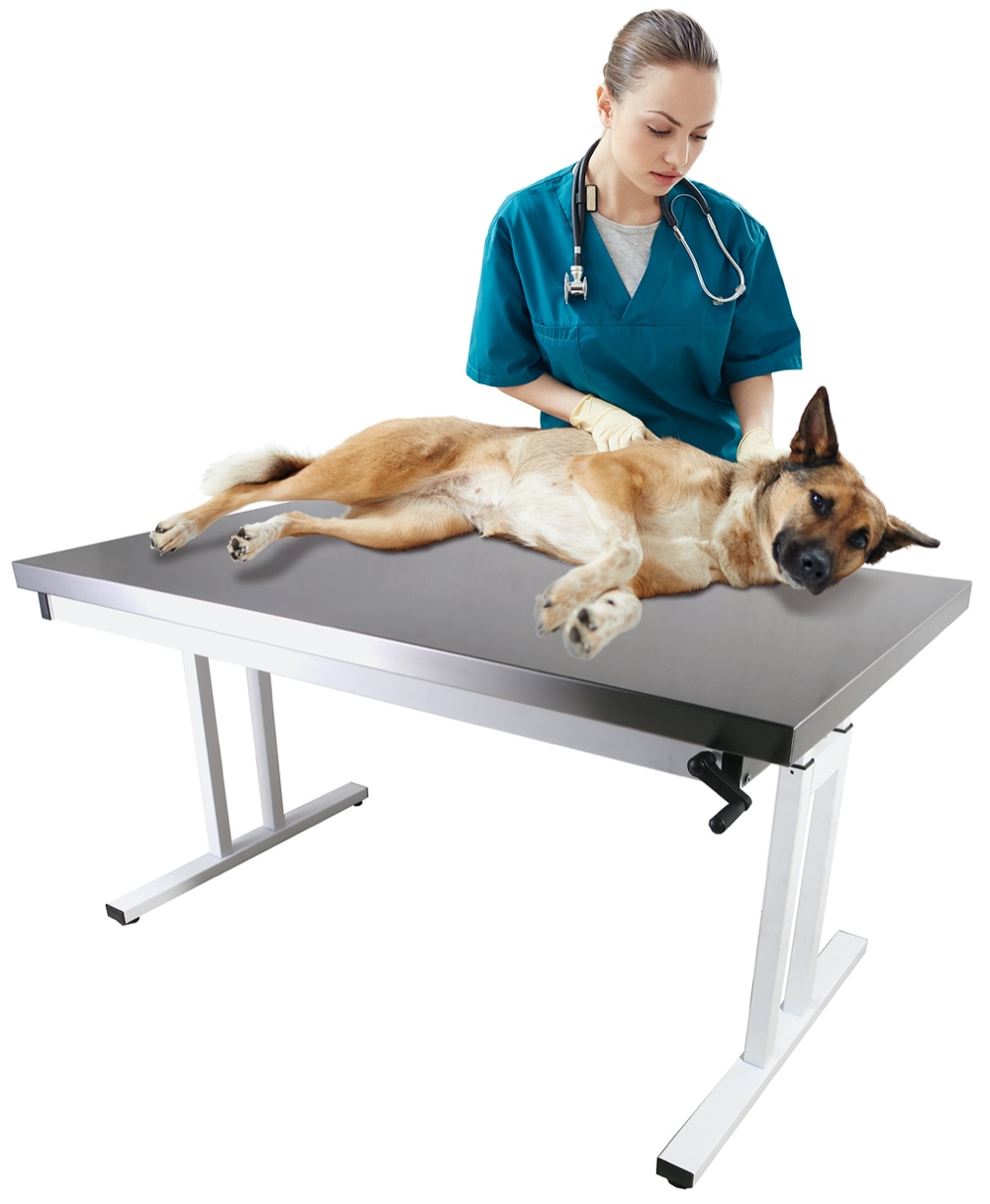 veterinary tables